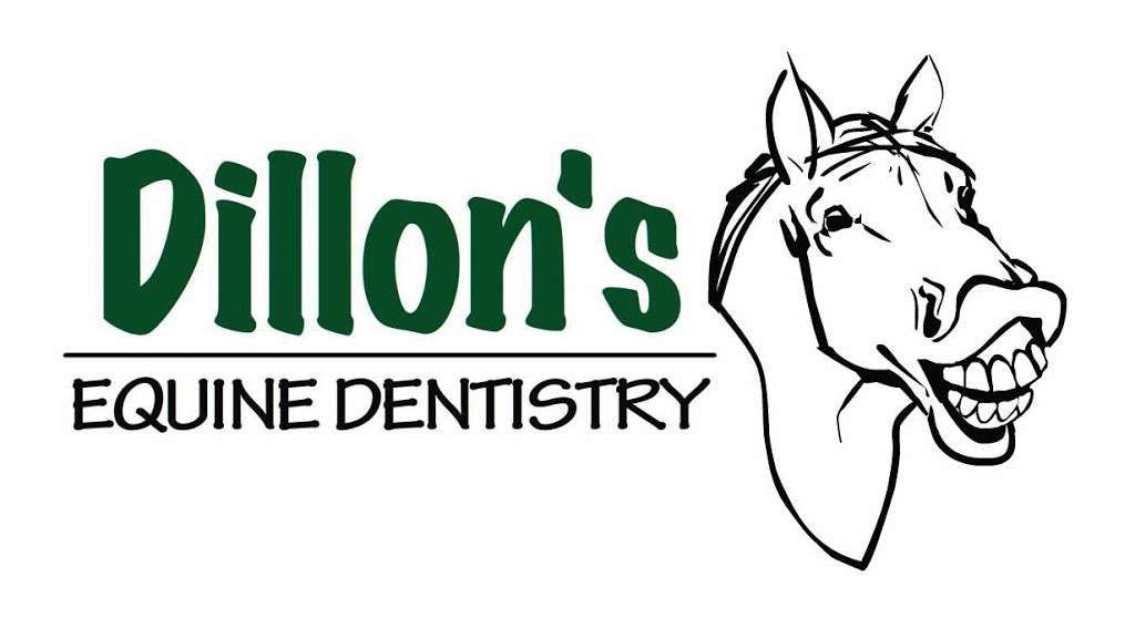 Dillons Equine Dentistry | 191 Lincoln Street, Franklin, MA 02038 | Phone: (508) 528-2242