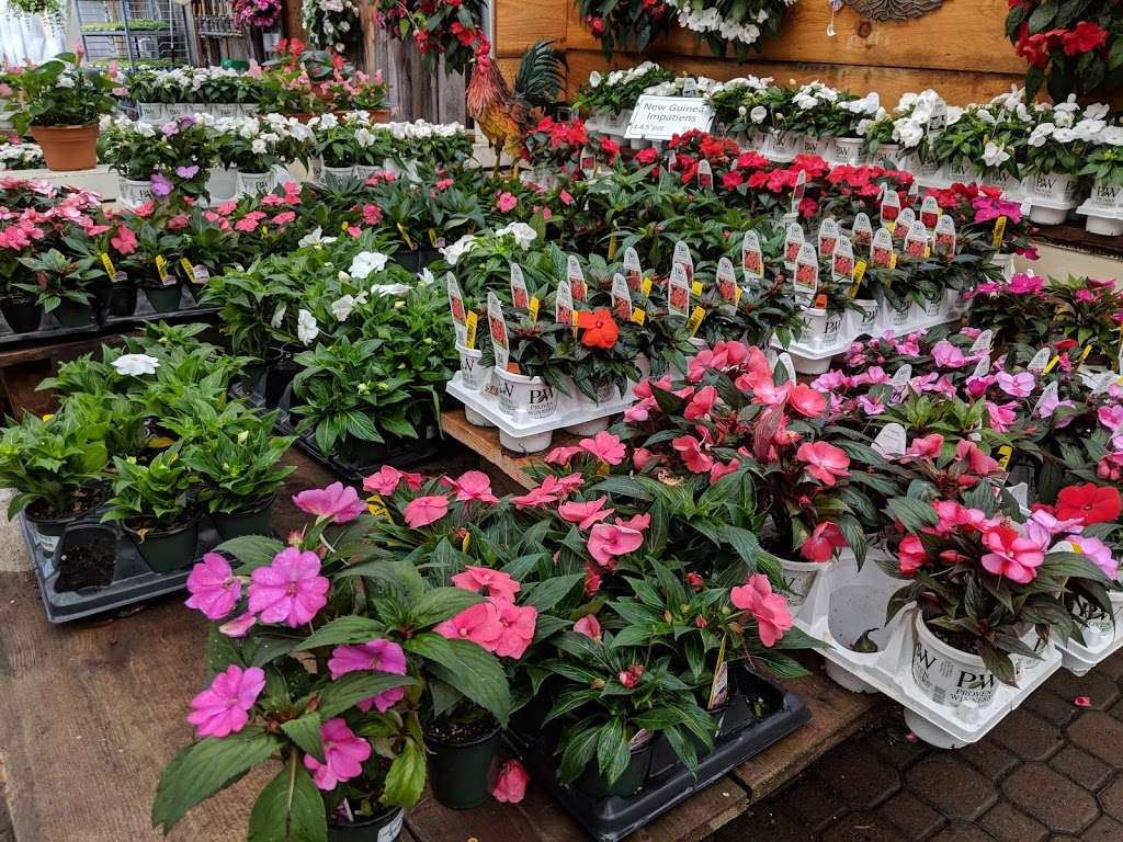 Russells Garden Center | 397 Boston Post Rd, Wayland, MA 01778, USA | Phone: (508) 358-2283