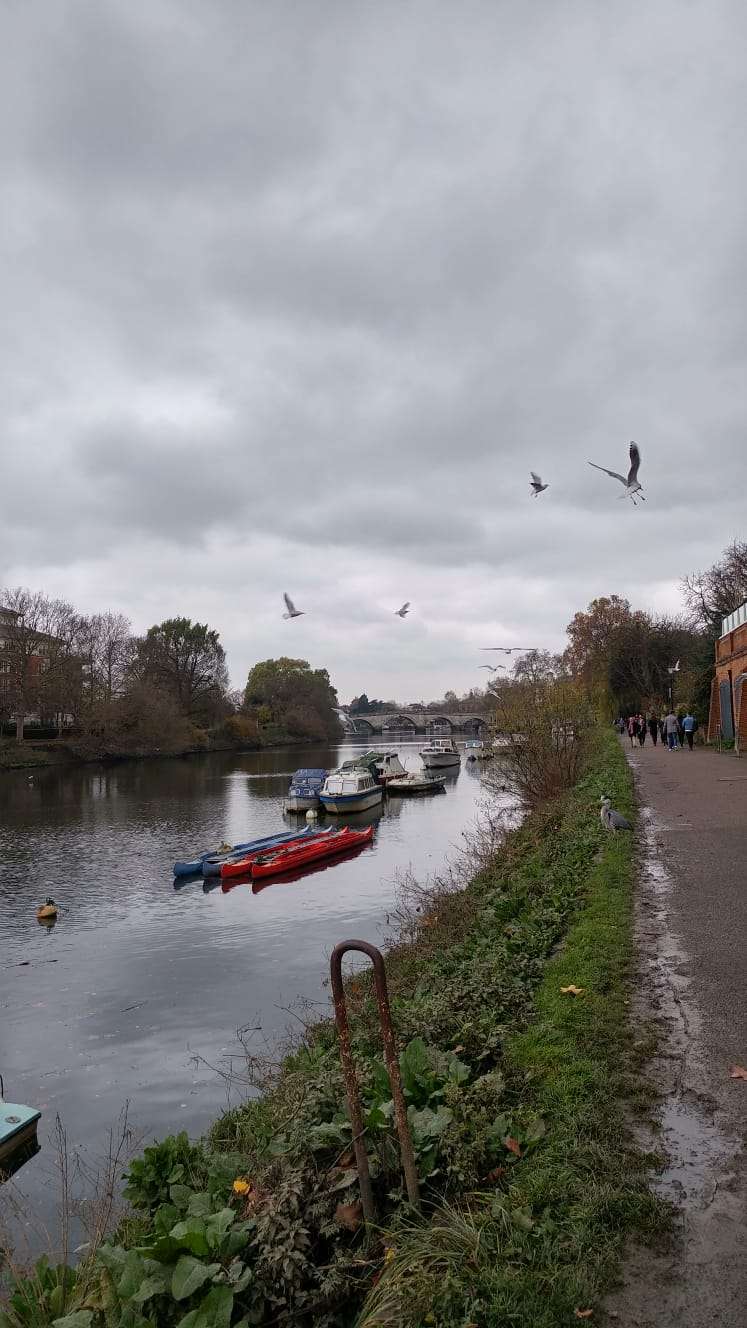 Buccleuch Gardens | Richmond, UK