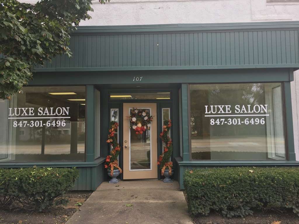 LUXE SALON | 107 E Schaumburg Rd, Schaumburg, IL 60194, USA | Phone: (847) 301-6496