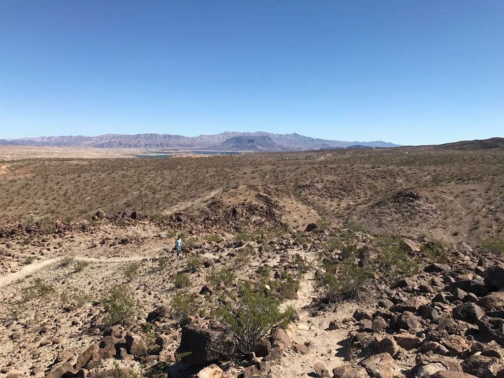 Bluff Trailhead | Bluff Trail, Boulder City, NV 89005, USA