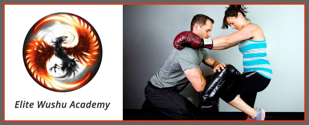 Elite Wushu Academy | 13856 Old Columbia Pike, Silver Spring, MD 20904, USA | Phone: (240) 560-6703