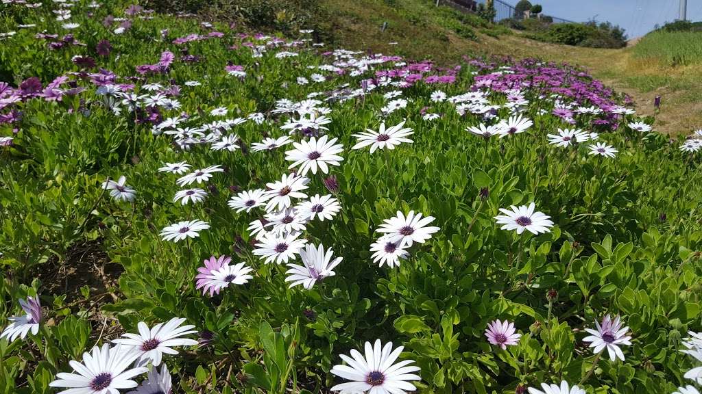 Whittier Turnbull Canyon Hiking Trail | Turnbull Canyon Rd, Whittier, CA 90601 | Phone: (562) 945-9003