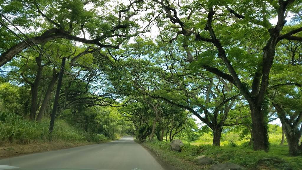 Kawainui Marsh | Kailua, HI 96734, USA | Phone: (808) 768-3003