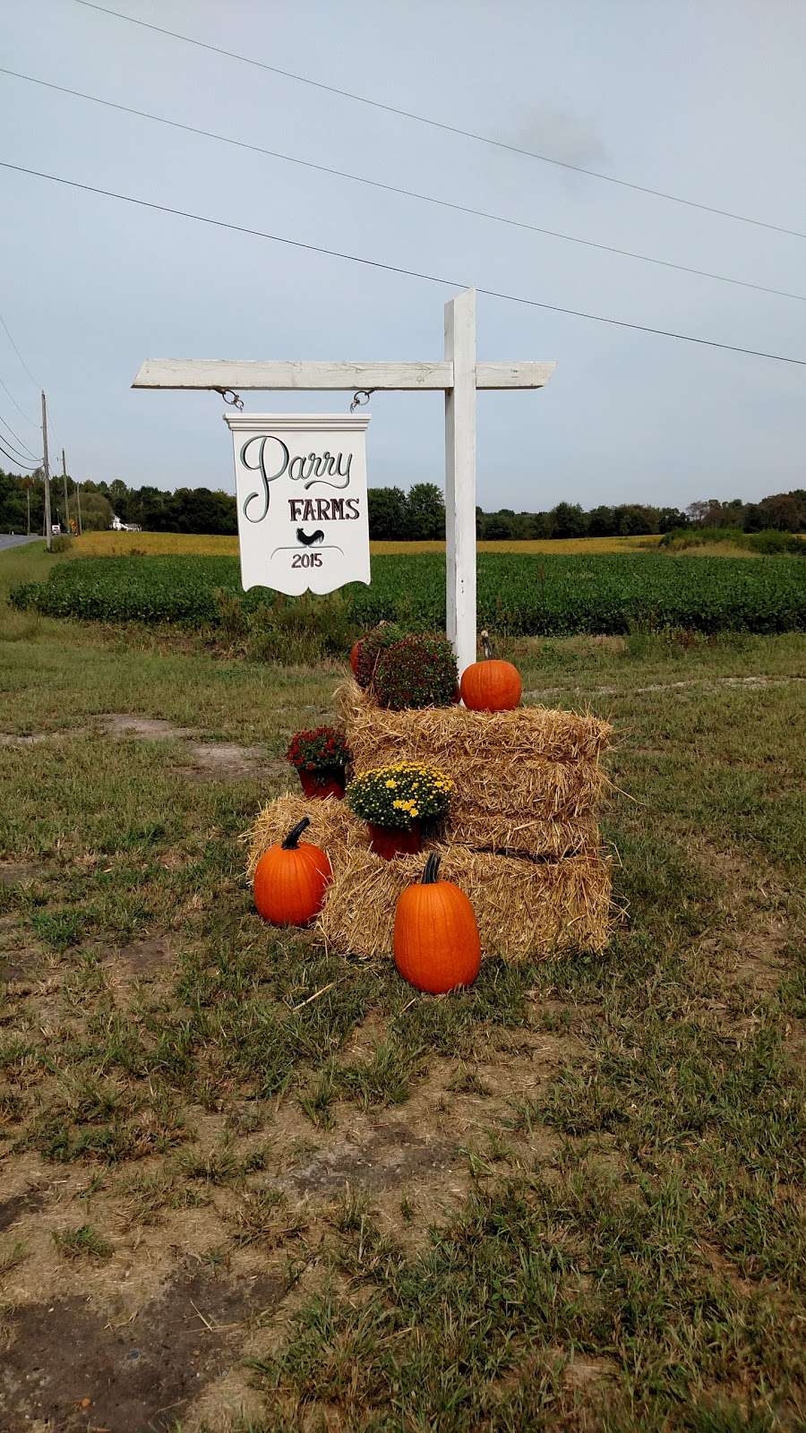 Parry Farms | 1774 Slaughter Station Rd, Hartly, DE 19953, USA | Phone: (410) 924-4609