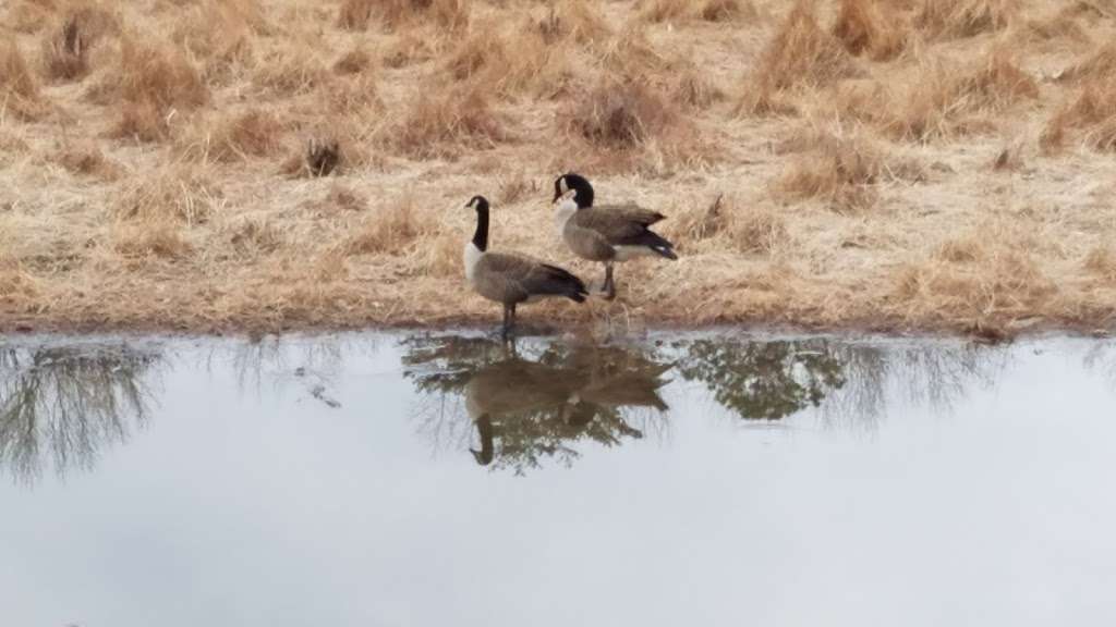 Piney Orchard Nature Preserve | 5 Maryland 2, Pasadena, MD 21122, USA