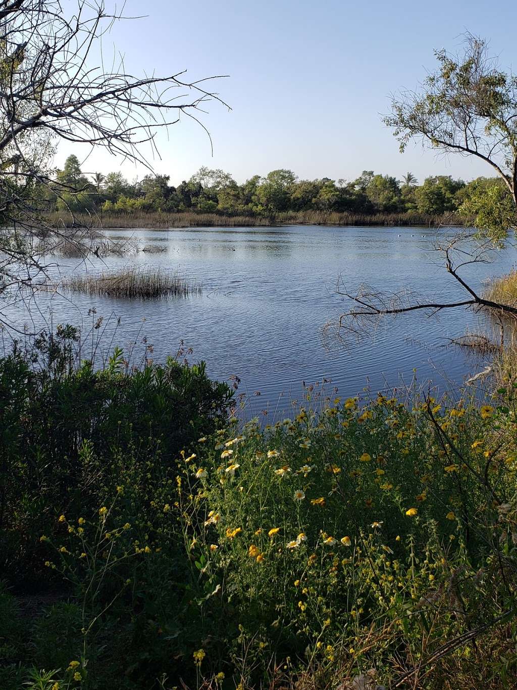 Dairy Mart Pond | San Diego, CA 92154, USA