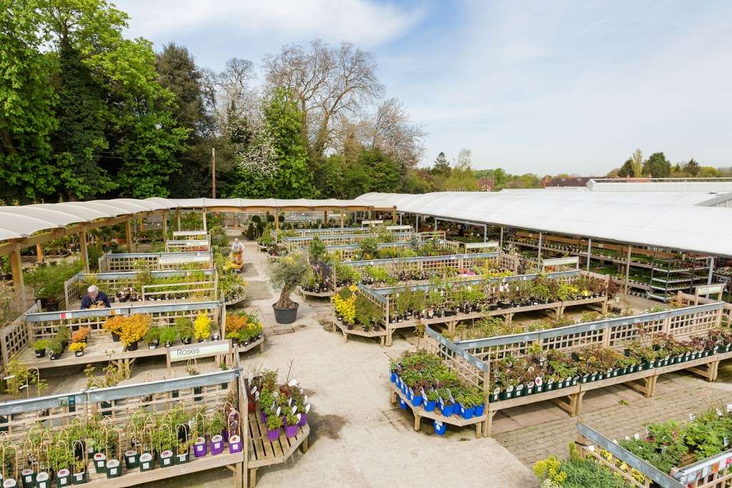 Ashtead Park Garden Centre | Pleasure Pit Road, Ashtead KT21 1HU, UK | Phone: 01372 273891