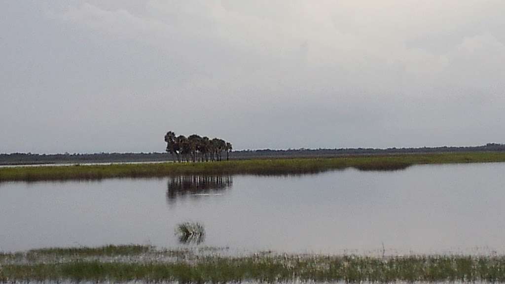 Airboat Rides at Loughman Lake | 1955 Hatbill Rd, Mims, FL 32754, USA | Phone: (321) 268-2277