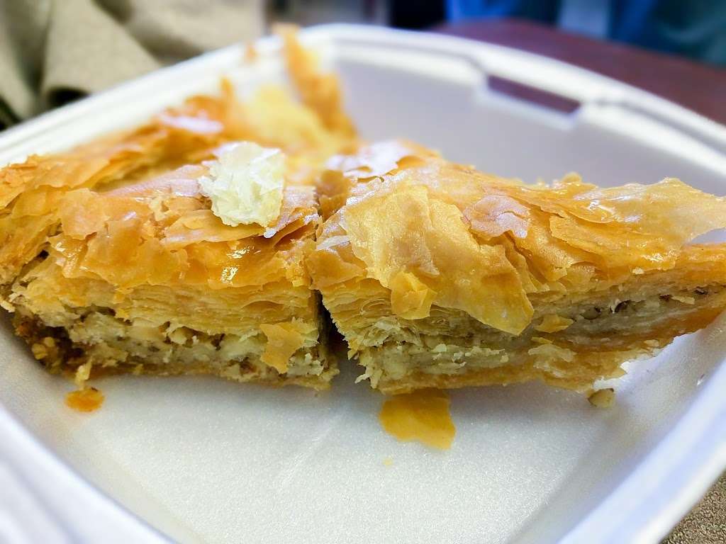 Carmel Haifa | 682 Speedwell Ave, Morris Plains, NJ 07950, USA | Phone: (862) 242-8918