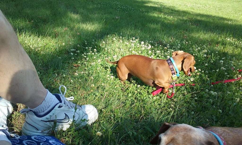 Leash Free Dog Run | Wyandotte County Lake Park Rd, Kansas City, KS 66109, USA | Phone: (913) 573-8327