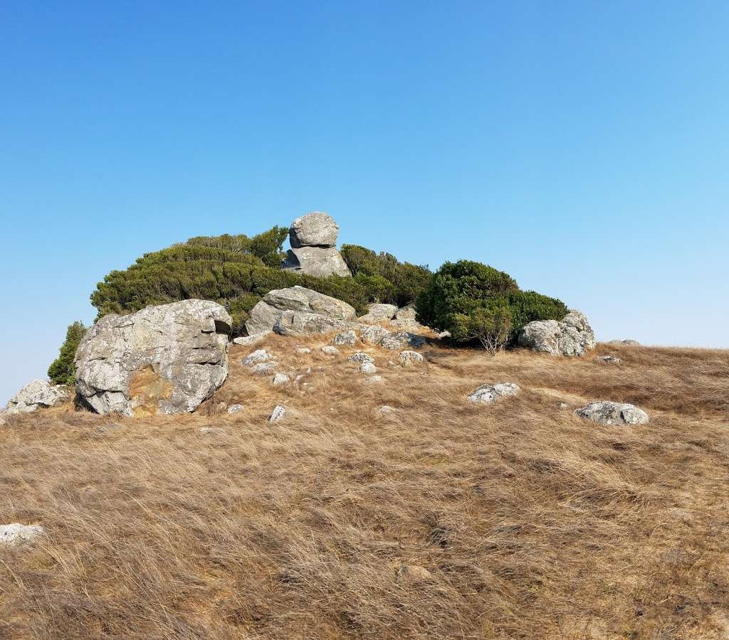 Ring Mountain Open Space Preserve | Loop Trail, Corte Madera, CA 94925, USA