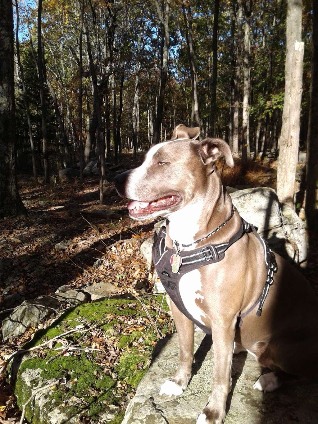 Hemlock Farms Mailroom and Ballfield in Hemlock Farms Rd, Hawley, PA