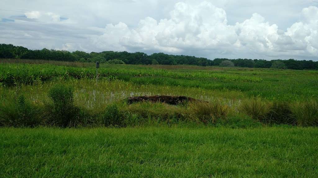 Itchepackesassa Creek Wetland | 1285 Walker Rd, Lakeland, FL 33810, USA | Phone: (863) 534-7377