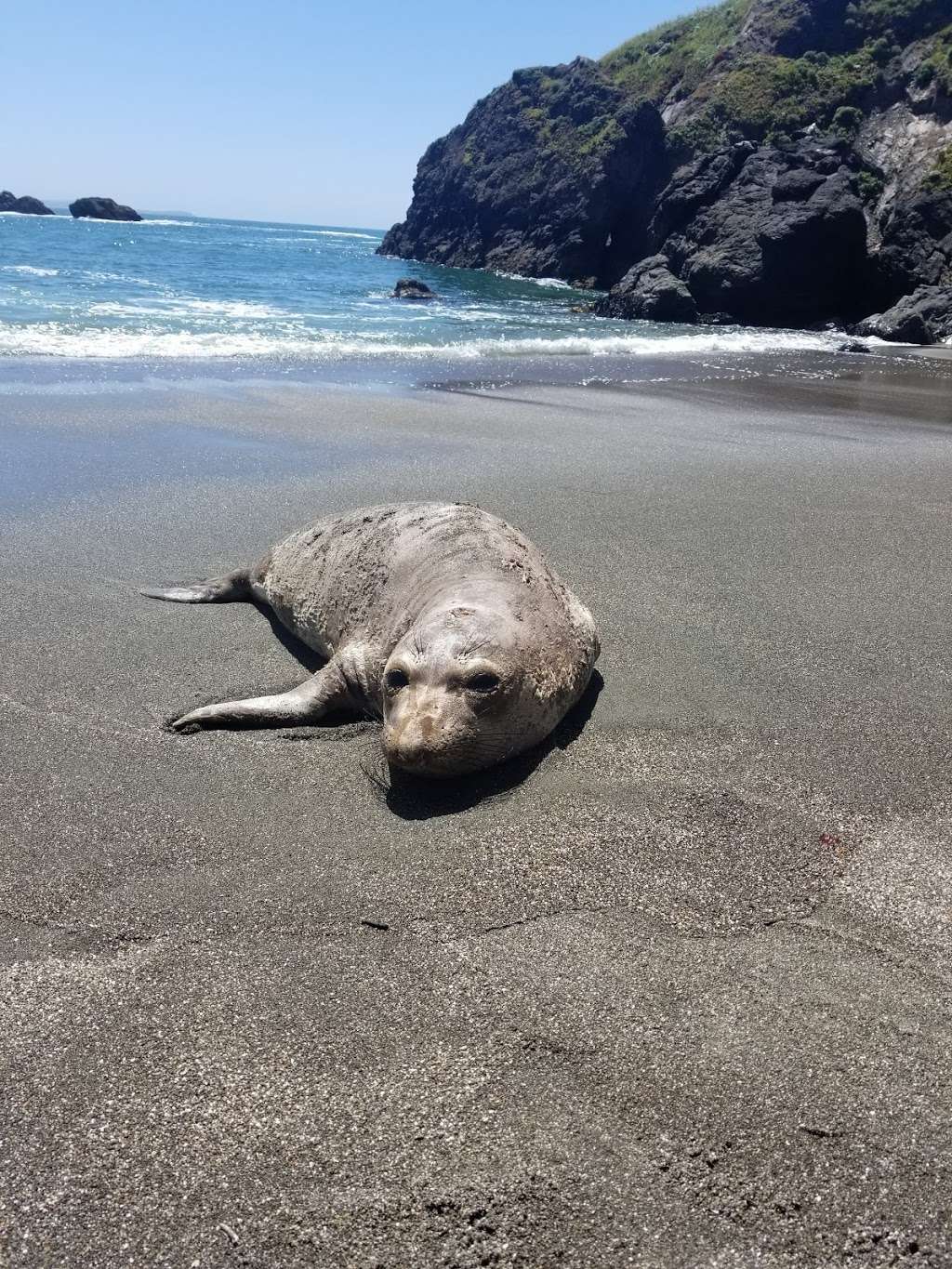 Sonoma Coast State Park | CA-1, Bodega Bay, CA 94923, USA | Phone: (707) 875-3483