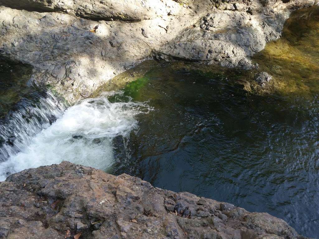 Leo T Cronin Fish Viewing Area | Sir Francis Drake Blvd, Lagunitas, CA 94968, United States