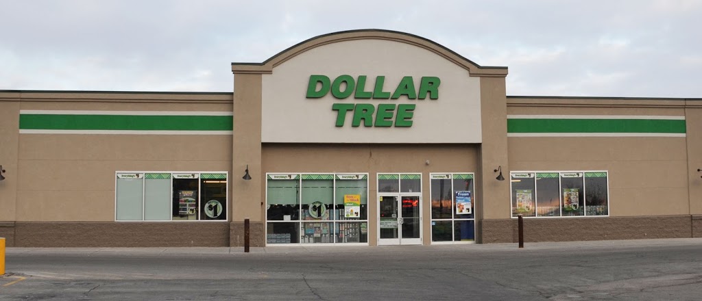 Dollar Tree | 7 W Hidden Trail, Elkhorn, WI 53121, USA | Phone: (262) 723-1323