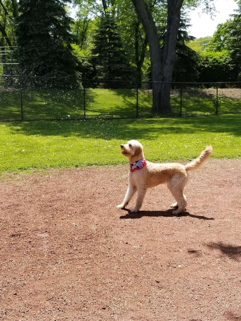 Jaycee Dog Park | 1026 Wilmot Rd, Deerfield, IL 60015, USA | Phone: (847) 945-0650