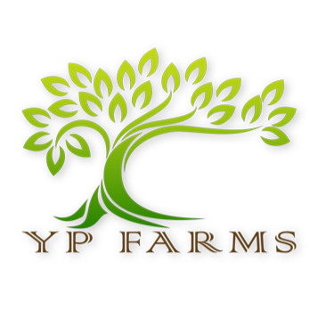 YP Farms | 6450 190th St N, Loxahatchee, FL 33470 | Phone: (561) 784-7860