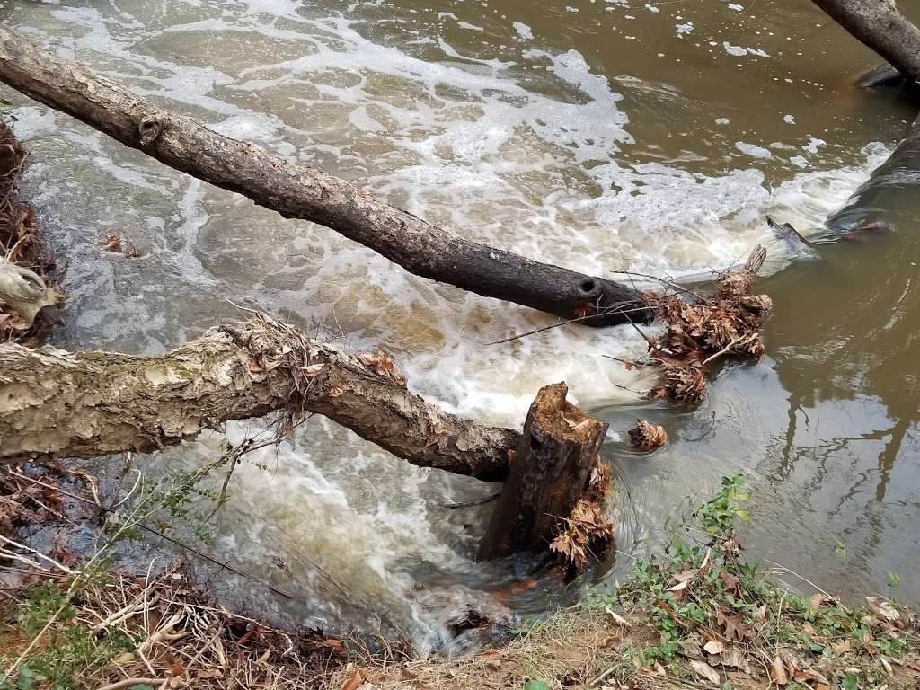 Twelve Mile Creek Greenway - Town Creek Park Trailhead | 4400 Waxhaw-Marvin Rd, Waxhaw, NC 28173, USA | Phone: (704) 843-2195