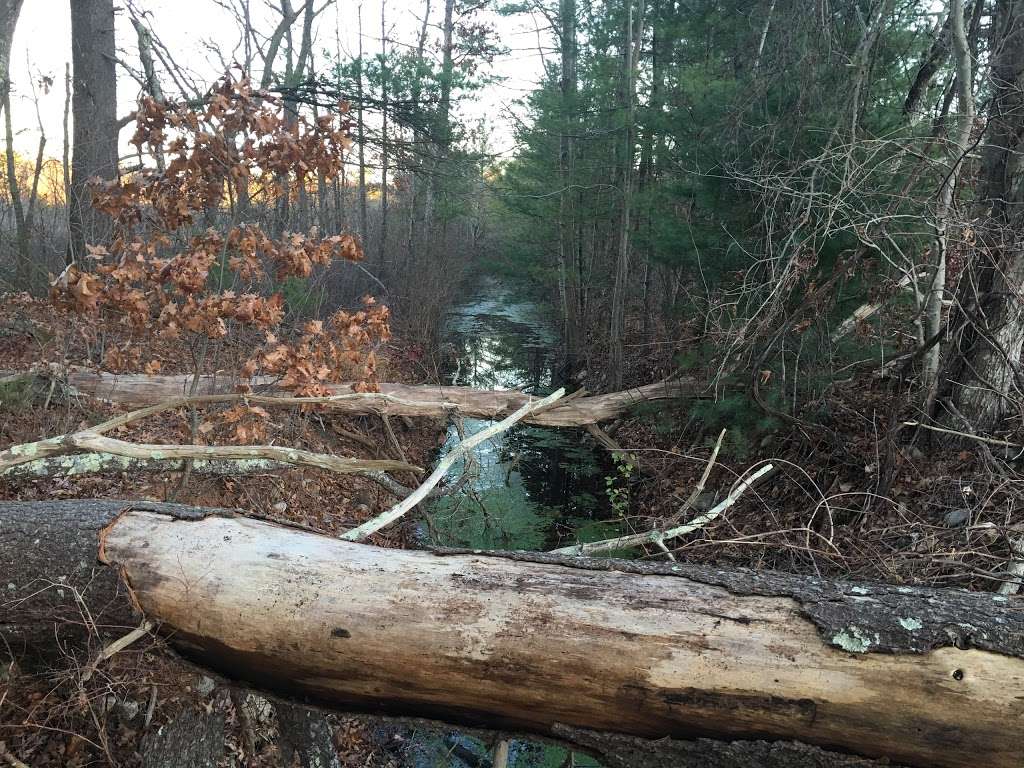 Duxbury Bogs | Duxbury, MA 02332, USA