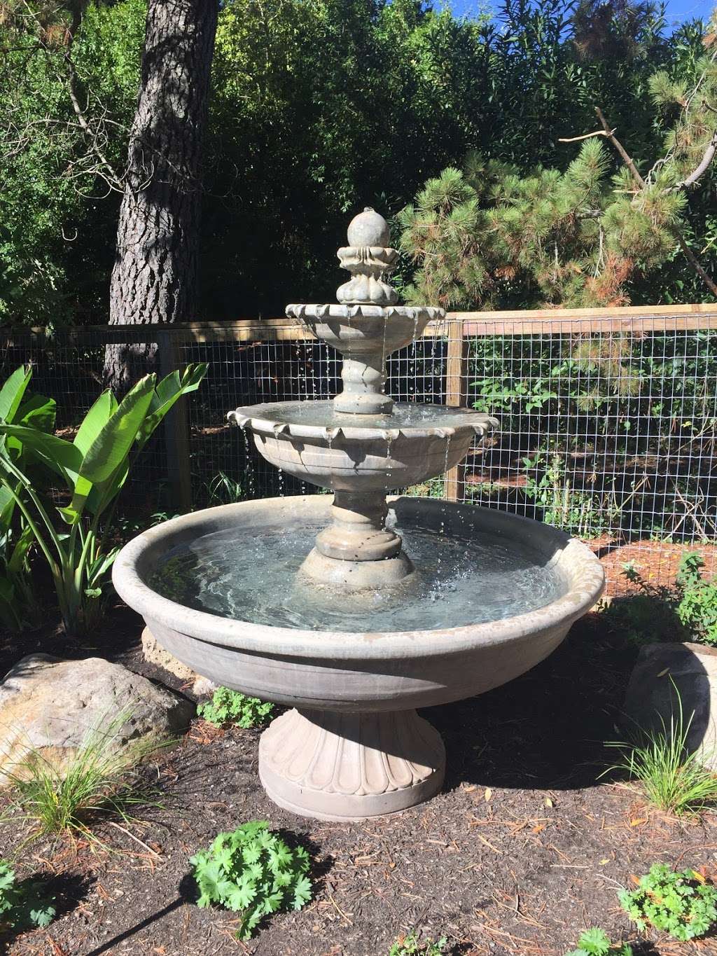 Absolute Statuary & Fountains / Absolute Home And Garden | 2227 Gravenstein Hwy S, Sebastopol, CA 95472 | Phone: (707) 823-5039