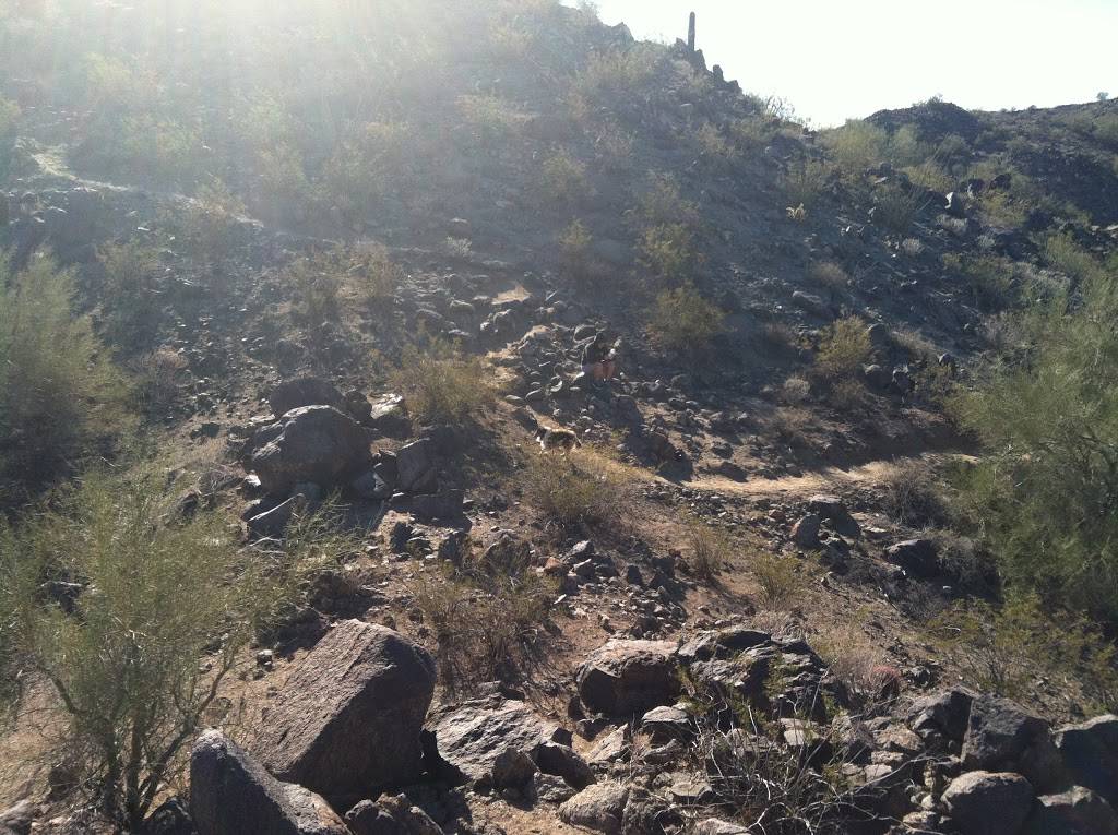 Peoria Sunrise Mountain Preserve | Sunrise Mountain Trail, Peoria, AZ 85383 | Phone: (623) 773-7000