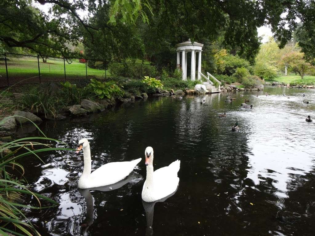 Swan Pond | Philadelphia, PA 19118, USA | Phone: (215) 247-5777