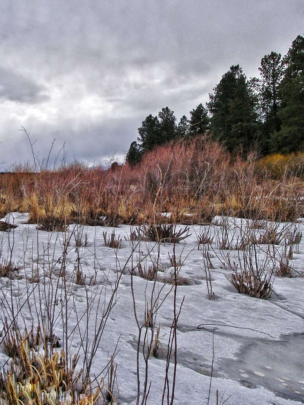 Manitou Park Recreation Area | Woodland Park, CO 80863