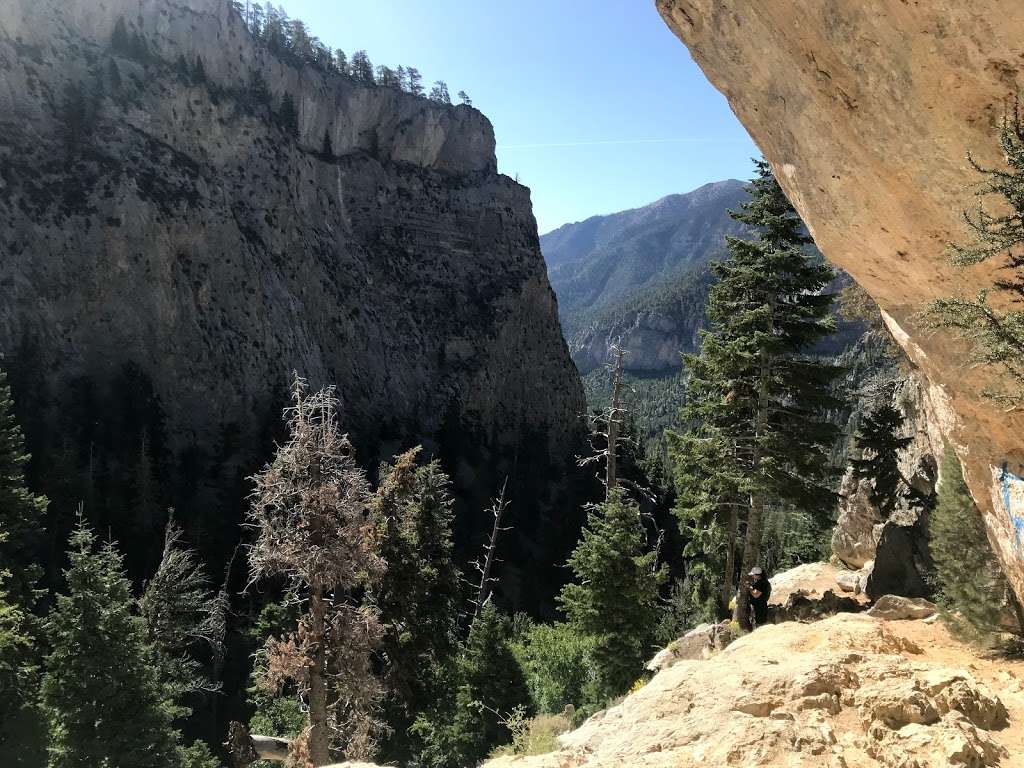 Acastus Trail | Acastus Trail, Mt Charleston, NV 89124, USA