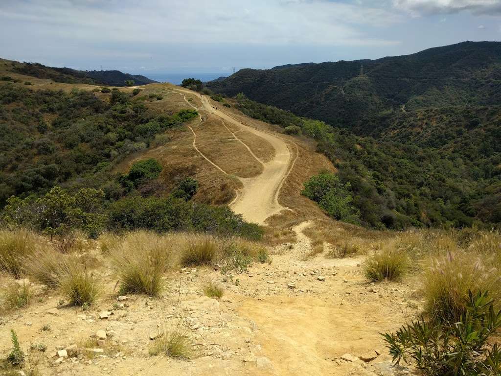 Canyonback Trail | Los Angeles, CA 90049