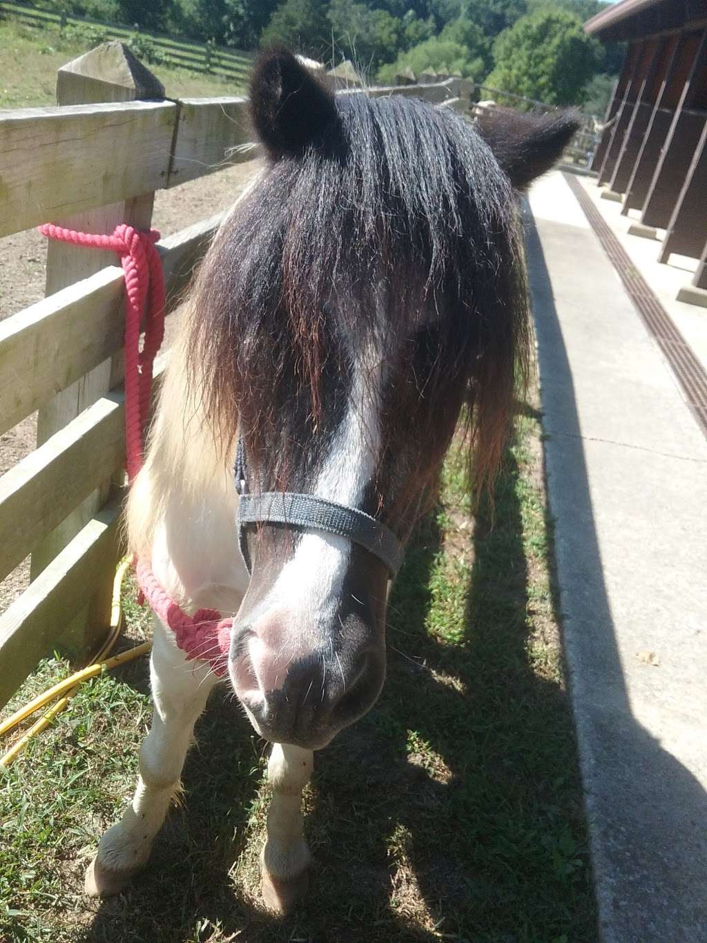 McCormicks Creek State Park Saddle Barn | 250 McCormick Creek Park Rd, Spencer, IN 47460, USA | Phone: (812) 829-8848