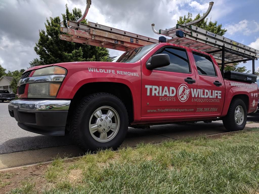 Triad Wildlife Experts | 425 Creekview Dr, Kernersville, NC 27284, USA | Phone: (336) 365-0564