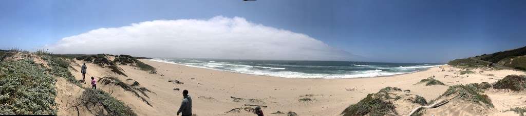 Pescadero Beach State Park N. | s, 18253 Cabrillo Hwy, San Gregorio, CA 94074, USA