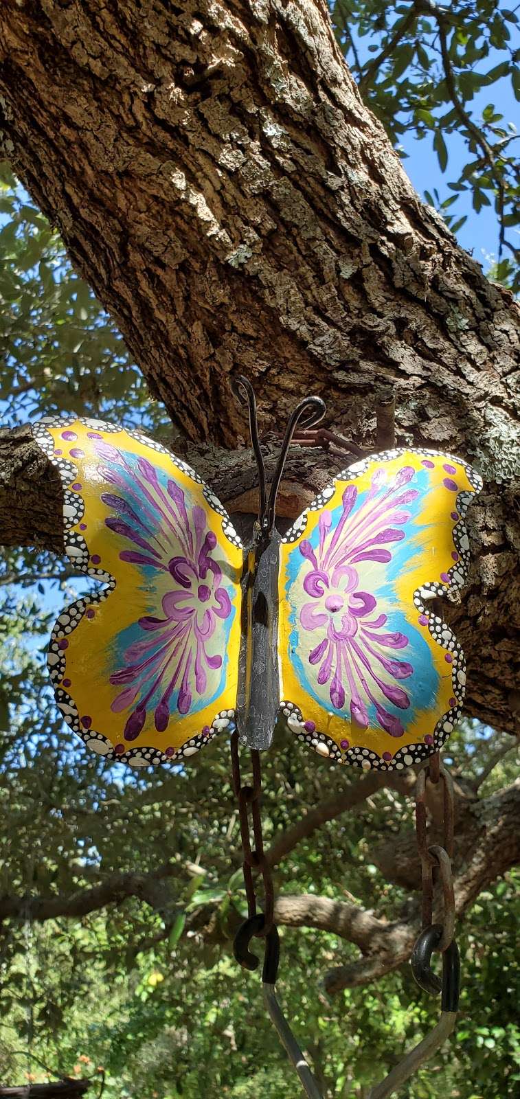 Tree butterfly | 11801 Bridge Hampton, San Antonio, TX 78251, USA