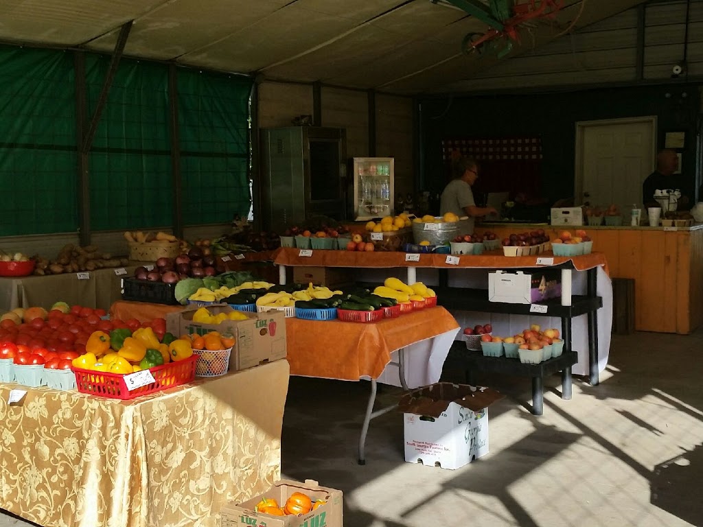 579 Produce Market | 6411 County Rd 579, Seffner, FL 33584 | Phone: (813) 833-3981