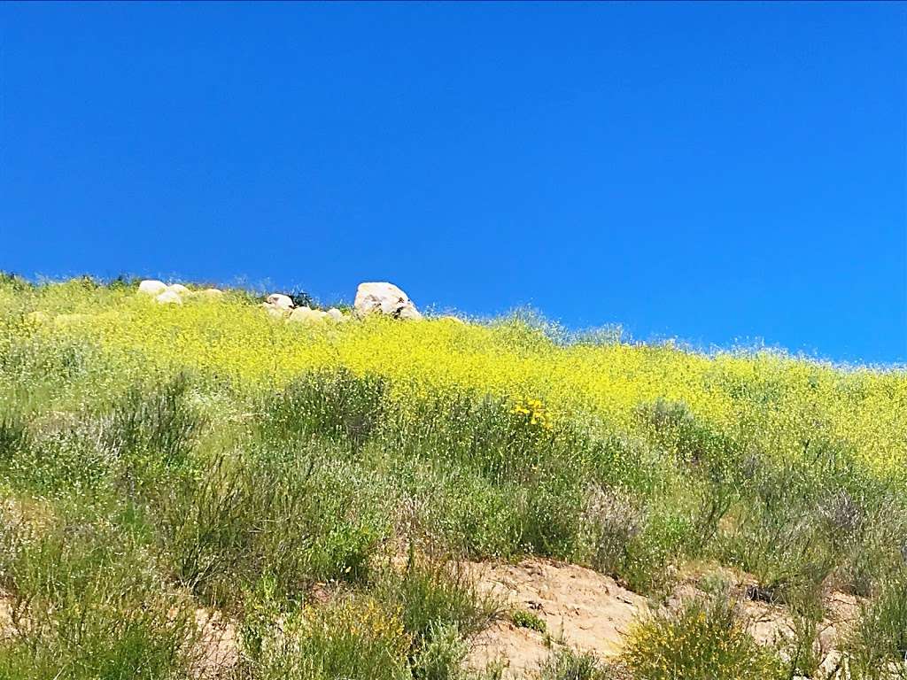 San Dieguito River Park - West Bernado Drive Trailhead | W Bernardo Dr, San Diego, CA 92127, USA