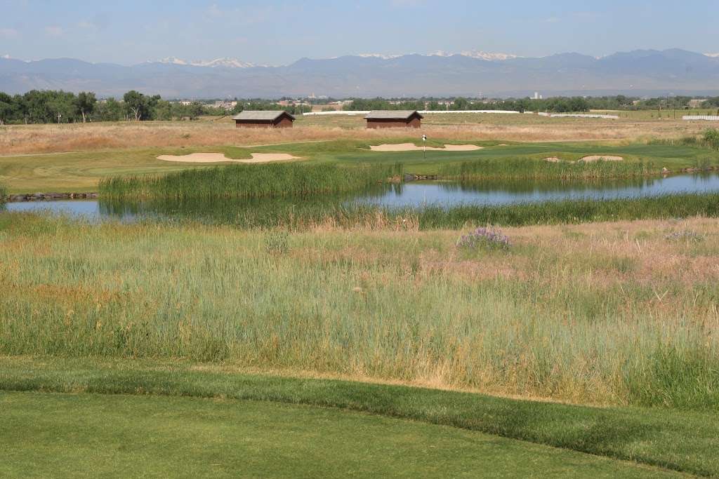 Green Valley Ranch Golf Club | 4900 Himalaya Rd, Denver, CO 80249, USA | Phone: (303) 371-3131