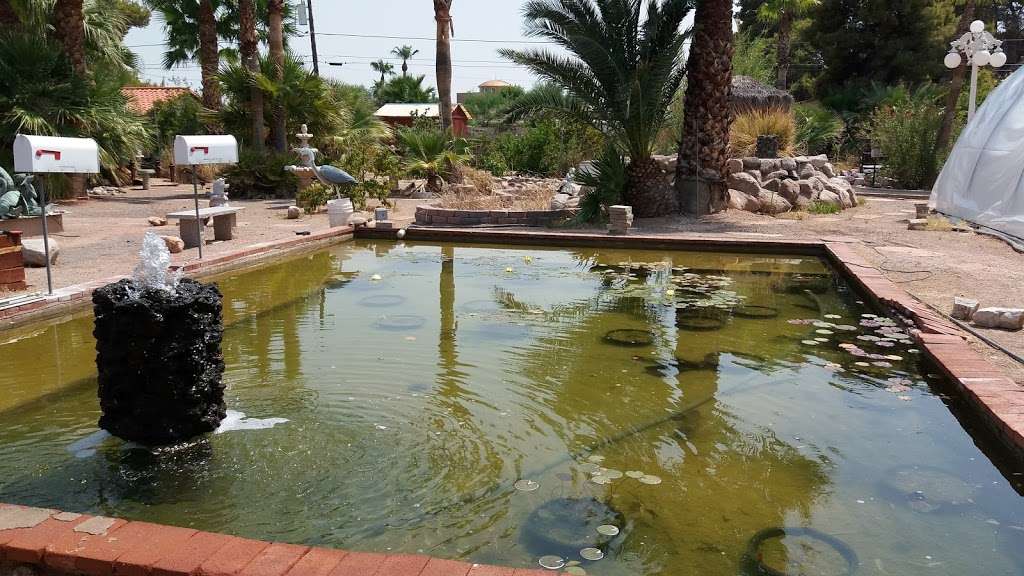 Nevada Water Gardens | 5445 Caliente St, Las Vegas, NV 89119, USA | Phone: (702) 736-1008