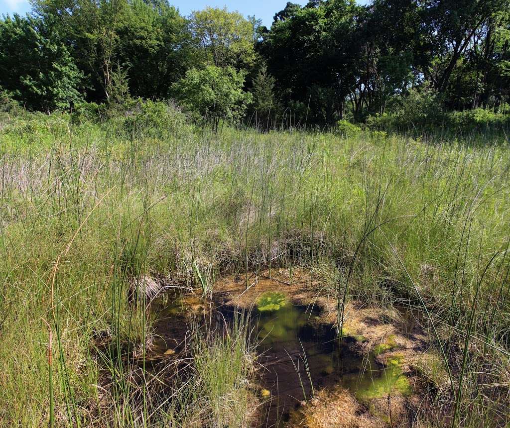 Ottawa Lake Fen State Natural Area | Dousman, WI 53118, USA | Phone: (608) 266-0394