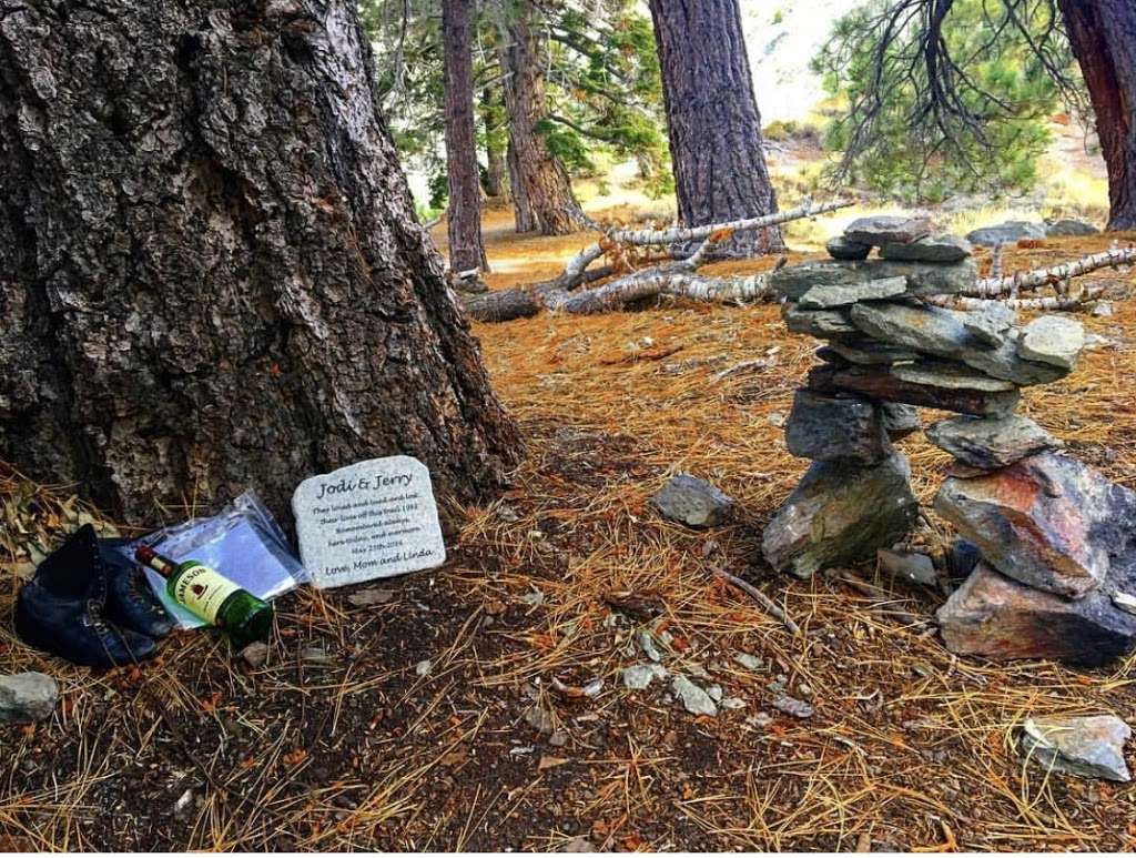 North Backbone Trail Head | Blue Ridge Truck Trail, Lytle Creek, CA 92358