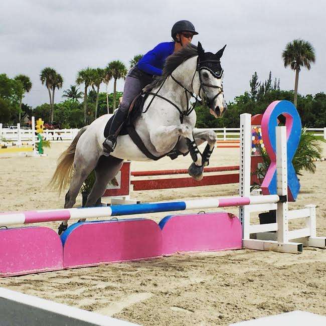 Palms Stables South | 13412 57th Pl S, Wellington, FL 33449, USA | Phone: (561) 252-2121