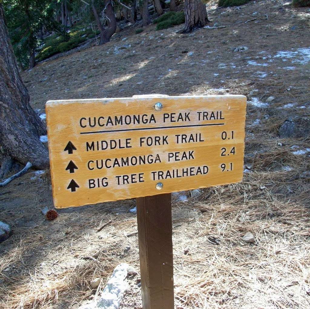 Cucamonga Peak Trail 7W04 | W Cucamonga Truck Trail, Lytle Creek, CA 92358 | Phone: (909) 382-2851