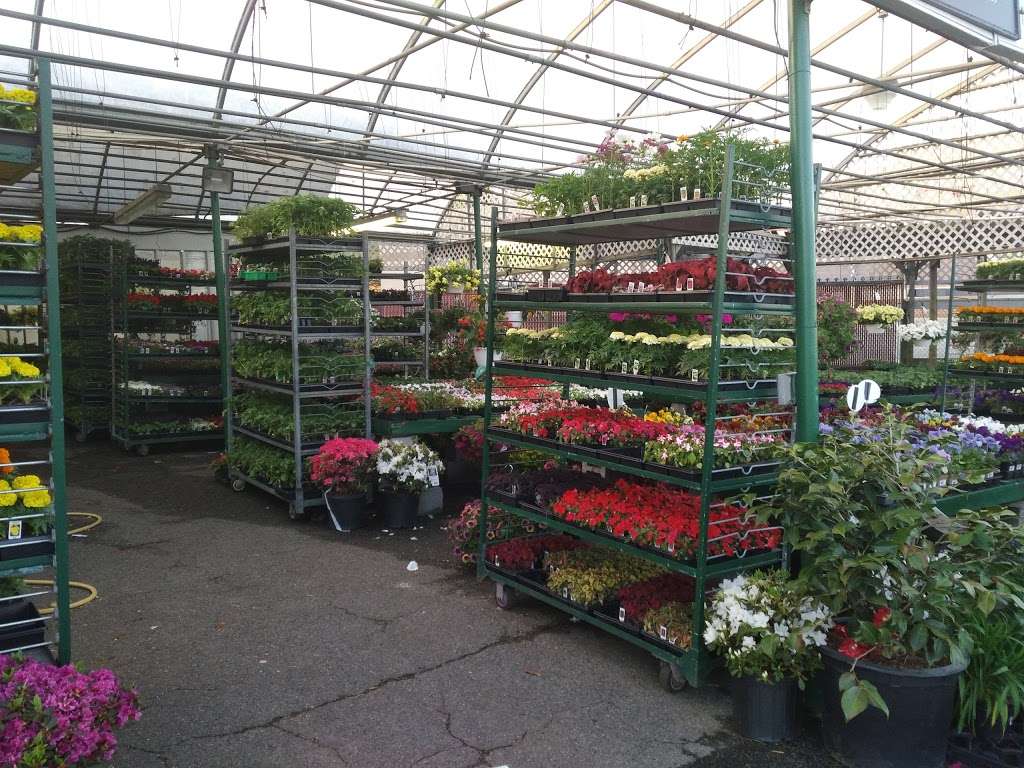 Hampton Nursery Inc | 7400 Annapolis Rd, Woodlawn, MD 20784 | Phone: (301) 459-7110