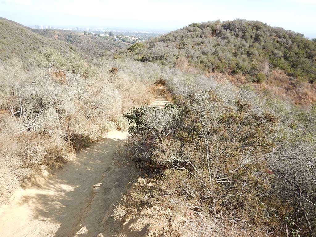 Viewpoint at Temescal Ridge Trail | Temescal Ridge Trail, Pacific Palisades, CA 90272
