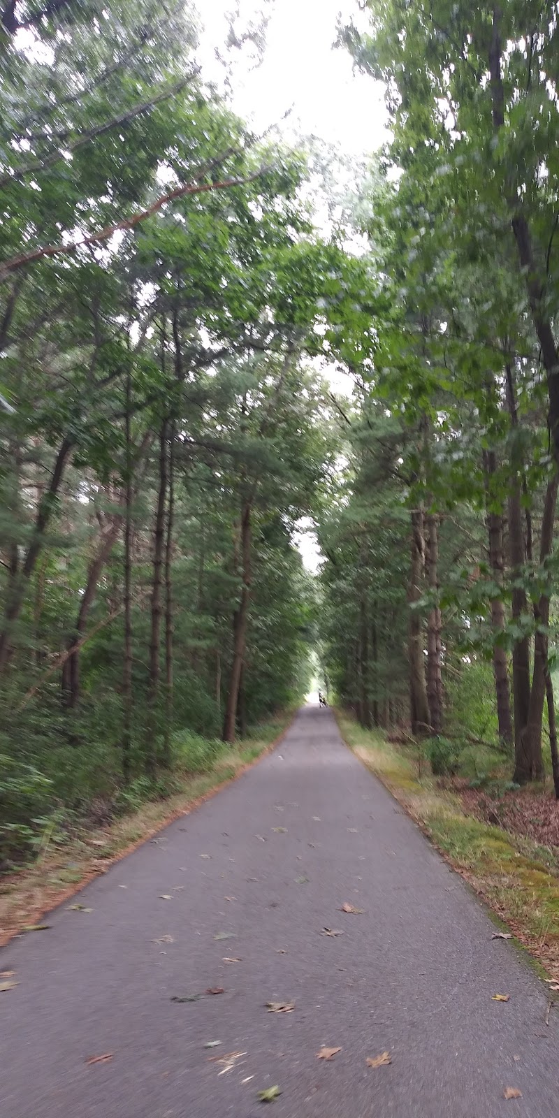 Bruce Freeman Rail Trail Parking Lot | Lowell, MA 01851