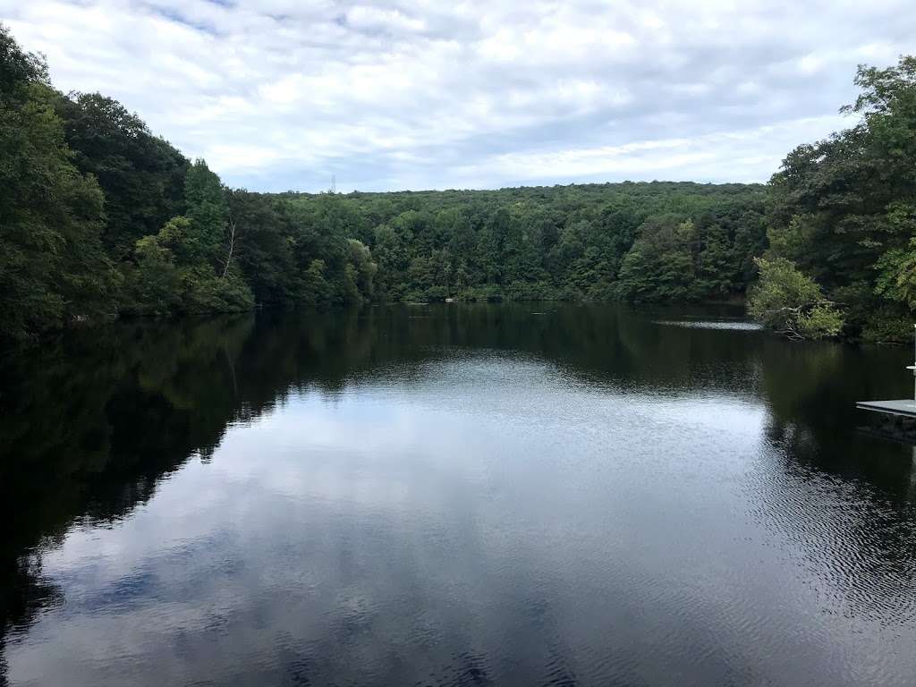 Ramapo Mountain State Forest (Upper Lot) | Hiking Trail Parking Lot, Oakland, NJ 07436, USA