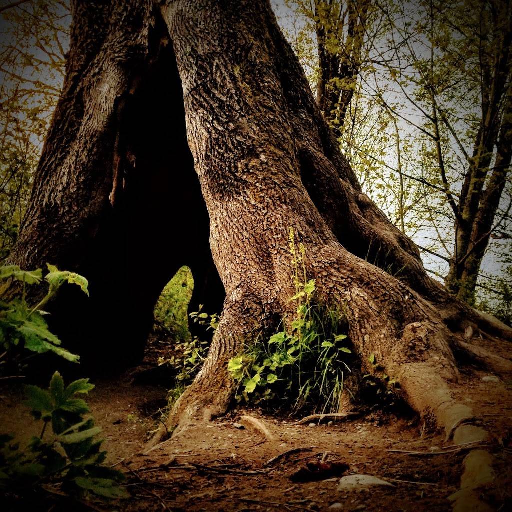 Carkeek Park | 950 NW Carkeek Park Rd, Seattle, WA 98177, USA | Phone: (206) 684-0877 Carkeek Park | 950 NW Carkeek Park Rd, Seattle, WA 98177, USA | Phone: (206) 684-0877