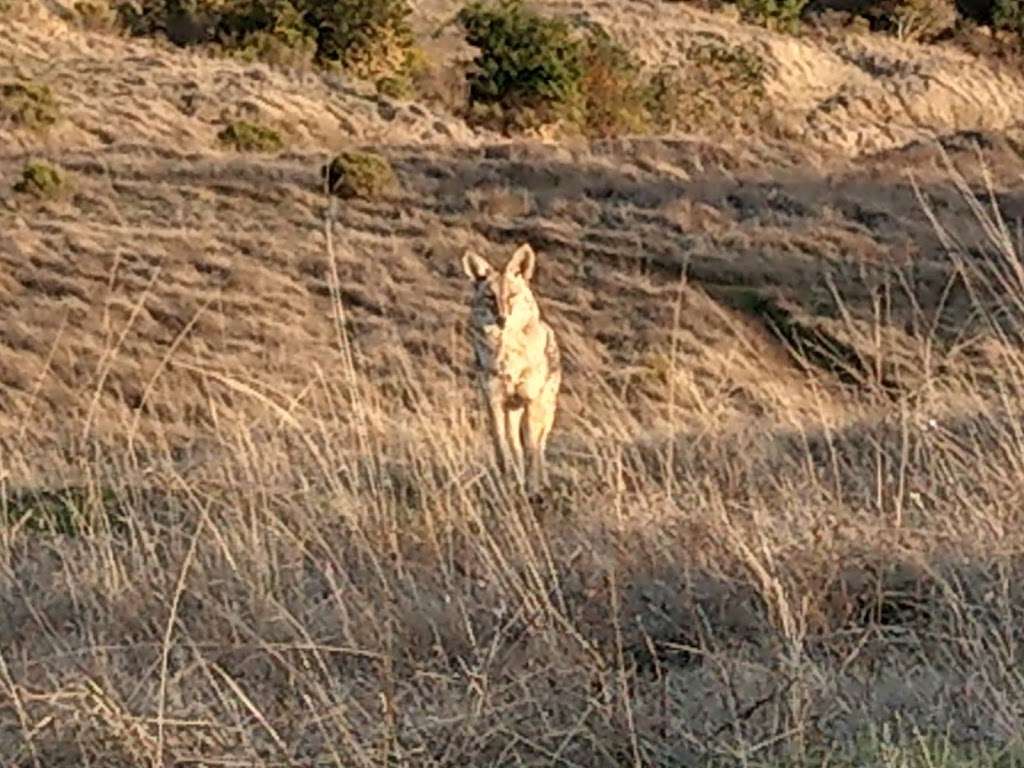 Sorich Ranch Park | San Anselmo, CA 94960, USA