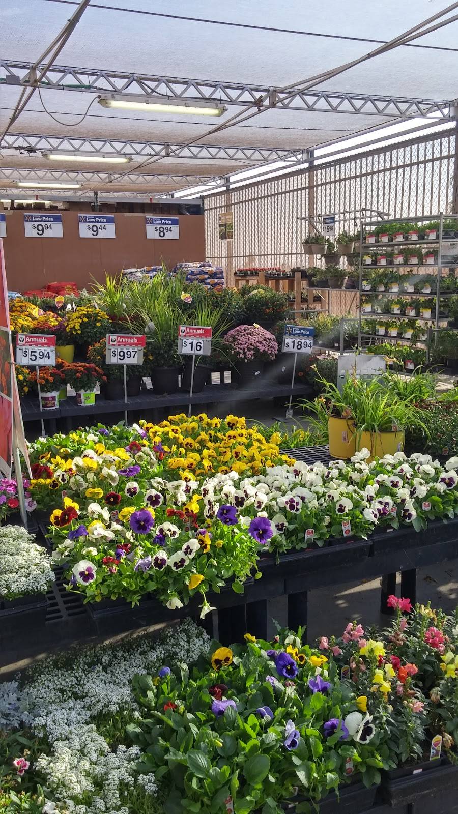 Walmart Garden Center | 2601 Fashion Plaza, Bakersfield, CA 93306, USA | Phone: (661) 873-7120